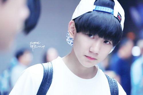 娱乐吃瓜酱王源,娱乐吃瓜界的“酱王”传奇